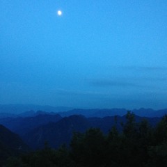 Blue Moon Chill Trip