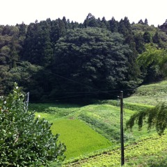 ひと夏の経験mix