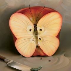 dmitry guy - Hypnose (2007)