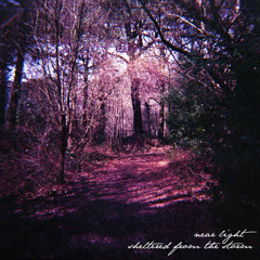 Sheltered From The Storm