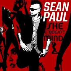 Sean Paul - She Doesn't Mind (Remix)