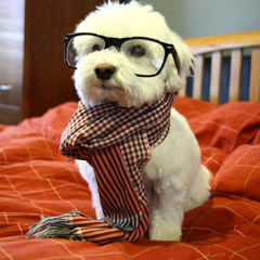 Petya - Take me away