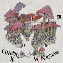 Channel X- Slowly Falling Leaf feat Natalie ( Homebase Remix ) FREE DOWNLOAD !