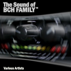 BCH Family Feat. Tony Lindsay - Reach Out (Matt Prehn Remix)