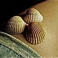 Melodiesinfonie - Klapperndemuscheln