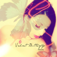 Nilakshy-Velvet Butterfly