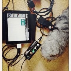 IPad & MixPre-D Sound Test 1