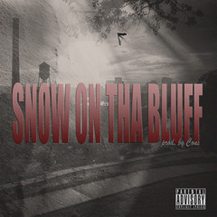 Snow On Tha Bluff - Nova