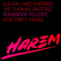 Sultan & Ned Shepard vs. Thomas Sagstad feat. Dirty Vegas - Somebody To Love