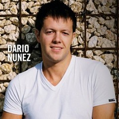 Dario Nunez - Do You Remember ( Davis Yonathan Remix )