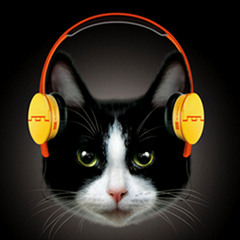 Deadmau5 - Raise Your Weapon (Album Version) [ Kayshot's Chilled Bootleg ]