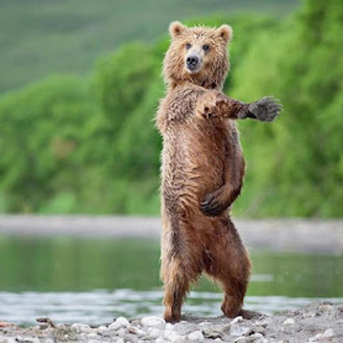 04 - tum mile dil khile  hip hop