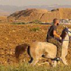 ماض كالسيف - أبو علي