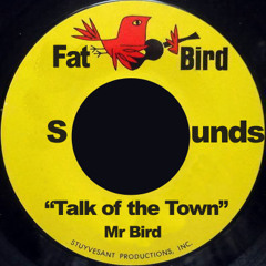 Mr Bird - Talk Of The Town (Flint & Steel Dancehall Mix)
