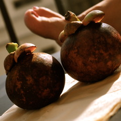 Mangosteen