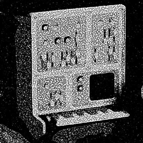 Rsi (skitish mix)