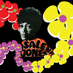 Salena Jones - Summertime (Mark Wayward Edit)
