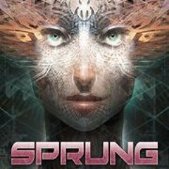 Rubix Qube - Showtime (Sprung edition)