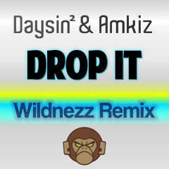 Daysin & Amkiz - Drop it (Wildnezz Remix) DEMO
