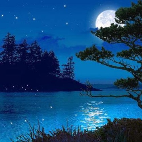 Trifey Xewnekan: Moonlit Dreams ,  Tara Jaff & Dler Kamanger