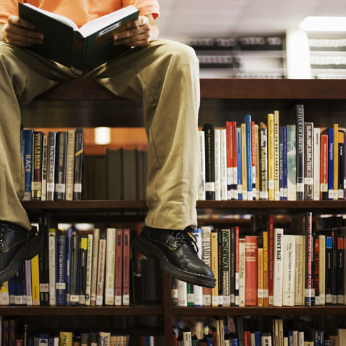 Fragment IIII ( The Library )
