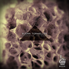 Bjoern Torwellen - Shapeshifter (Nils Mohn Remix)