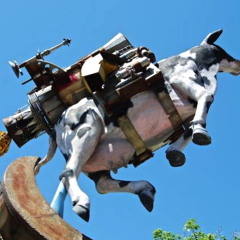 Snap Judgment Favorites