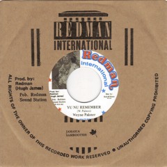 WAYNE PALMER - Yu Nu Remember 7" [Redman Label]