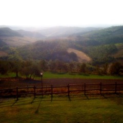 Sabbatical-Hills and Fences at Dawn