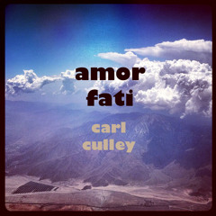 "Amor Fati" cover