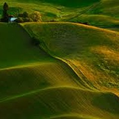 Greenwave 2 ft nwo wikiwalet