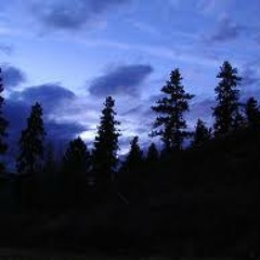 React-Dark Nights
