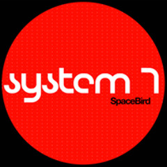 System 7 - Space Bird (Dubfire's unreleased remix)