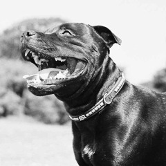 wee thorny rose (50/90 2012)