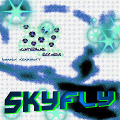 Sky Fly - Dominik Kenngott (Original) - Kunterbund REC