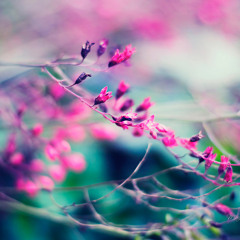 New Mix (30 Minutes) Mix 04 FL-Studio 10.0