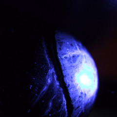 Dorothy Parker-Rumbunctious Mix