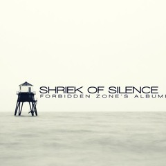 Amir Danaei - Shriek of silence