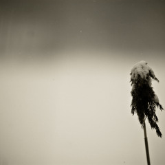 Harold-Alexis - Dreams (Original Mix)