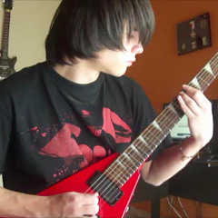The Human Abstract-Mea Culpa(Guitar Cover)