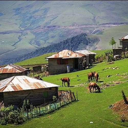 شاد