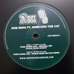 Rob Reng ft Nine Lives the Cat - Funk Down Low