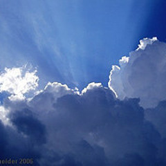 The Spiel - Feel zu high