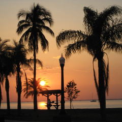 Pinellas County 2010