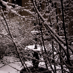 Re: Stacks (Bon Iver cover)