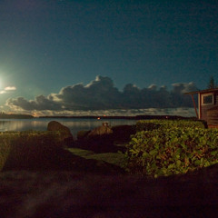 Visceral Twilight (instrumental)