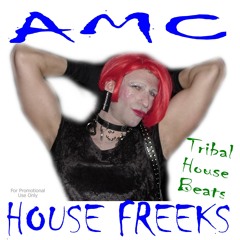 AMC House Freeks