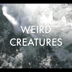 Weird Creatures