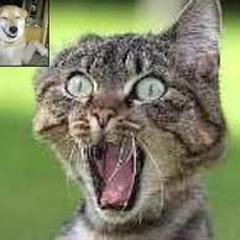 YA NO PUDIERON - PanadeRial  - mul@toproduction