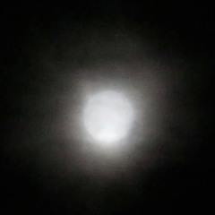 The Constant (just like punk except it's cars)